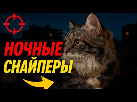 Видео: НОЧНЫЕ СНАЙПЕРЫ в доме с 3 котиками