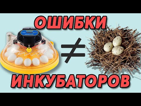 Видео: ШКОЛА ИНКУБАТОРОСТРОЕНИЯ №16 | Ваши ошибки в самодельных ИНКУБАТОРАХ для яиц. Продолжение...