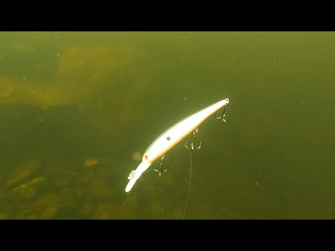 Видео: РЫБАКИ ТЕРЯЮТ, МЫ НАХОДИМ / FISHERMEN LOSE, WE FIND