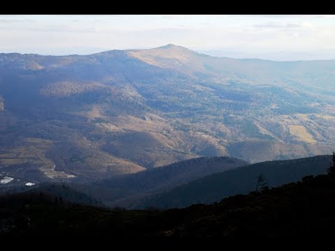 Видео: Гора ГОСТРА.  Опис маршруту.  Закарпаття.  Карпати