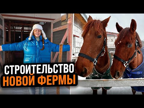 Видео: СТРОИТЕЛЬСТВО НОВОЙ БОЛЬШОЙ ФЕРМЫ | Обзор конюшни