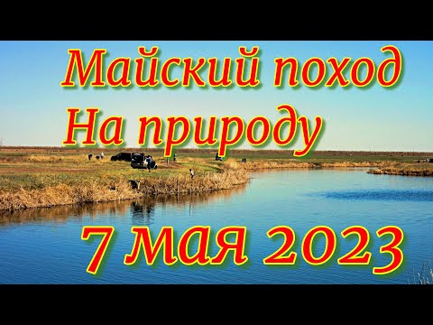 Видео: Майский поход на природу 7 мая 2023. ШАШЛЫК на природе!