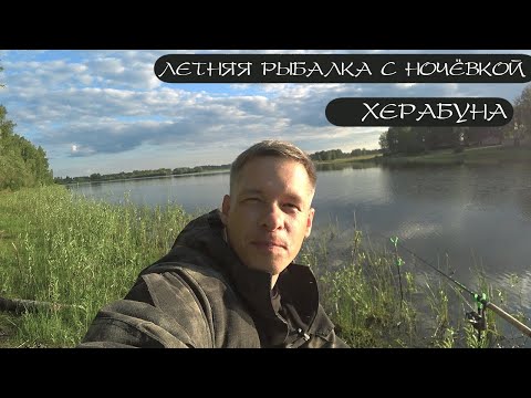 Видео: КАРАСЬ НА ФИДЕР против херабуны. Прикормка - зло?!