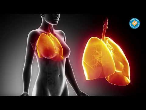 Видео: Всичко за кашлицата