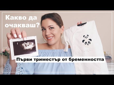 Видео: Първи Триместър от Бременността | Какво да очаквате?