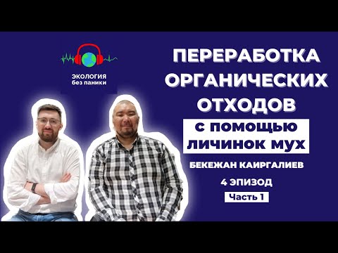 Видео: Переработка органических отходов с помощью личинок мух. Часть 1. Подкаст Экология без паники.