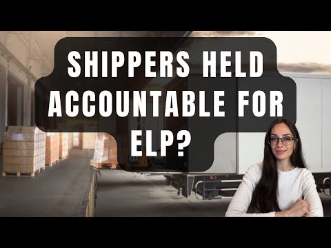 Видео: Шон Даффи: «Загрузил — и всё в твоих руках» — грузоотправители сталкиваются с трудностями