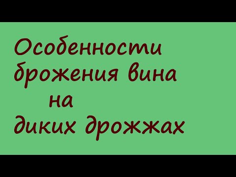 Видео: Брожение вина на диких дрожжах. Особенности процесса