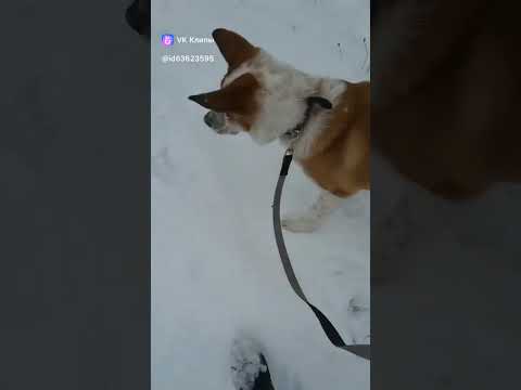 Видео: Наш малыш