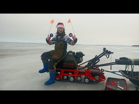 Видео: Новогодняя рыбалка на Рыбинке!!!