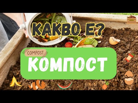 Видео: Какво е компост?