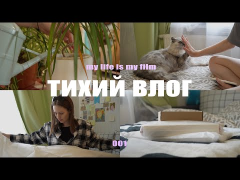 Видео: тихий влог | домашняя рутина, распаковка, поход в кофейню, мой пушистый плюх | 001;