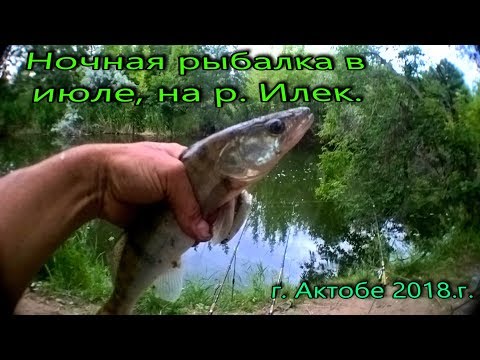 Видео: Ночная рыбалка в июле, на р  Илек г  Актобе 2018г
