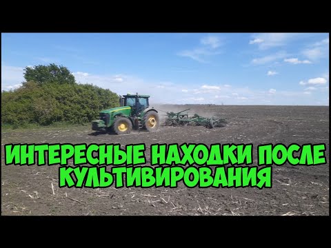 Видео: Интересные находки после культивирования