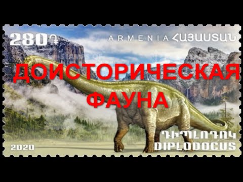 Видео: Доисторическая фауна