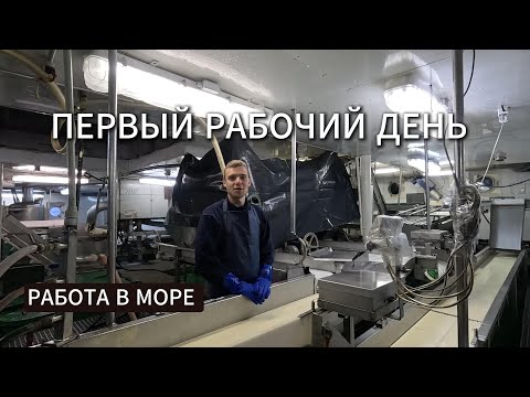 Видео: Моя первая вахта - УПАКОВЩИКОМ, влог матроса, работа в море 🌊
