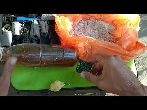 Видео: На что сейчас ловлю! 🐟