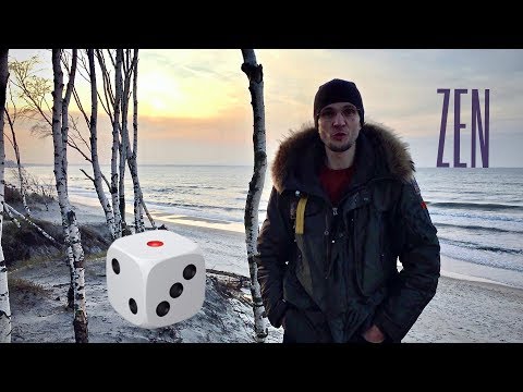 Видео: Медитация (дзен). Когда бег перестаёт играть в кости