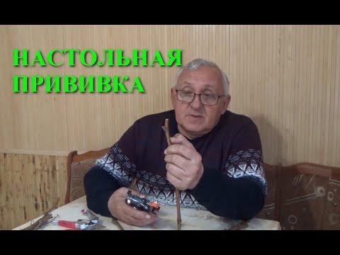 Видео: Как делать настольные прививки винограда www.vinograd-kriulya.com