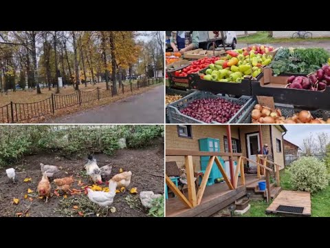 Видео: ЕДЕМ НА РЫНОК, ЛЁШИК ЗА БЕЗОБРАЗИЕМ, А Я ЗА КАМБАЛОЙ.