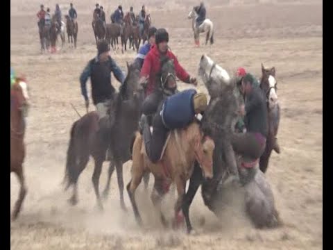 Видео: Кокпар Жырық ауылында    Жандос ағамыздың бата алу көкпары