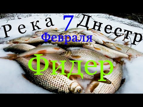 Видео: На что Клюет Плотва? на что Ловить Плотву в Феврале на Реке Днестр? Ловля Плотвы Фидером на Днестре!