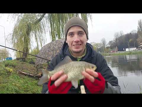 Видео: Бурштин!!! Сезон по фідеру відкрито!!! Карась!