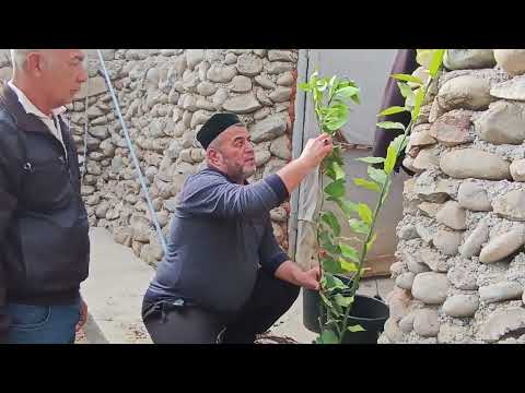 Видео: 19 ноября 2023 г.