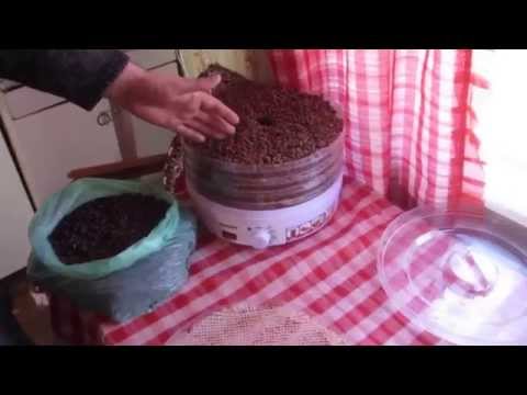 Видео: Сушка перги  Drying pollen