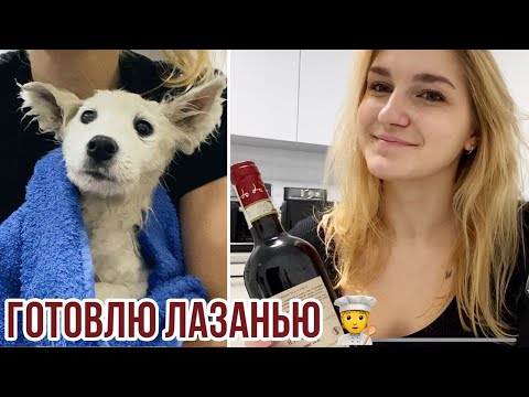 Видео: ВПЕРВЫЕ открываю ВИНО🍷КУПАЮ ЛУНУ 🐕🚿и готовлю ЛАЗАНЬЮ🧑‍🍳