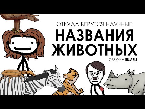 Видео: Откуда берутся научные названия животных - Академия Сэма Онеллы | Озвучка Rumble