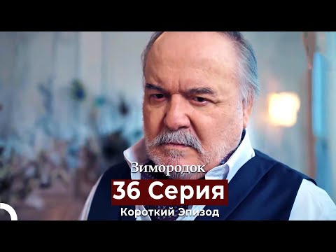 Видео: Зимородок 36 Cерия (Короткий Эпизод) (Русский дубляж)