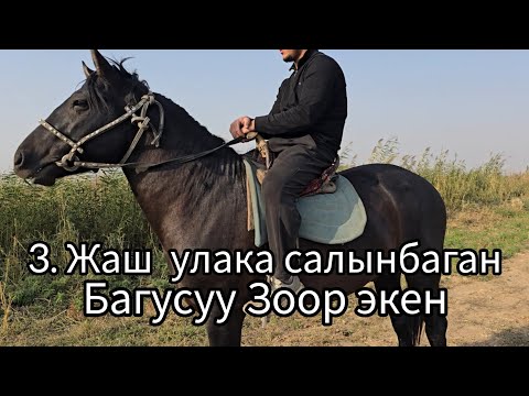 Видео: Бүгүн 20 октября 2025  Багусу зор улака салынбаган Өспүрүм Сатуга чыкты 3. Жаш #жылкыбазар 