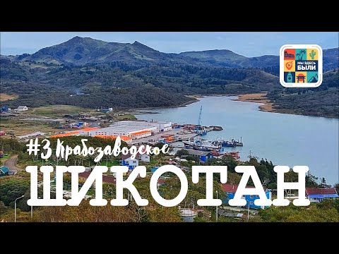 Видео: КУРИЛЫ #3 Шикотан – Прогулка по поселку Крабозаводское и его окрестностям