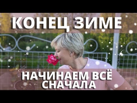 Видео: ВОССТАНАВЛИВАЮ РОЗЫ ПОСЛЕ ЗАМОРОЗКОВ. 19 мая 2024 г.