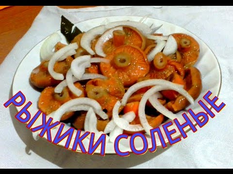 Видео: Рыжики соленые//Простой рецепт