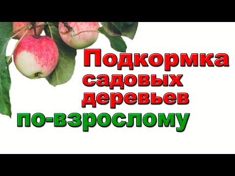 Видео: ЛУЧШИЙ СПОСОБ ПОДКОРМКИ ВЗРОСЛЫХ САДОВЫХ ДЕРЕВЬЕВ