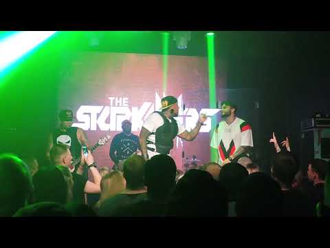 Видео: The Starkillers – Виски, телки, драки, наколки. Live in Khabarovsk, Crossroad Bar 03.05.2019