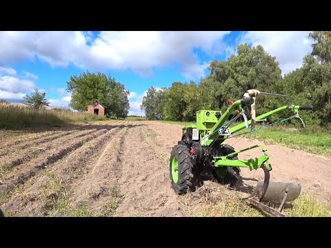 Видео: Конный плуг и дизельный  мотоблок. Пробую копать картофель.