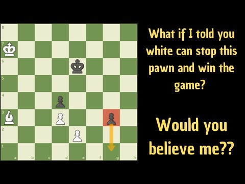 Видео: Это кажется невозможным, но белые побеждают!