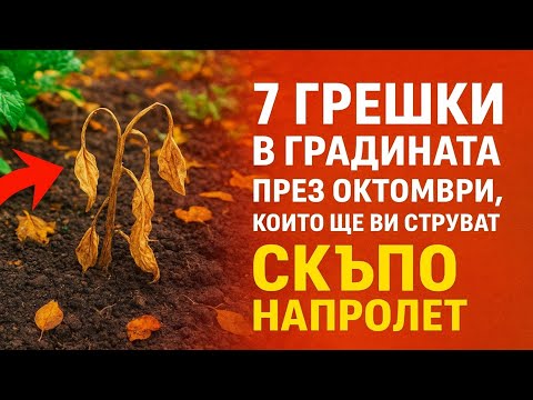 Видео: 7 грешки в градината през октомври, които ще ви струват скъпо напролет ⚠️