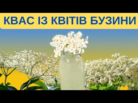 Видео: НАДЗВИЧАЙНО СМАЧНИЙ КВАС ІЗ КВІТІВ БУЗИНИ. НАЙПРОСТІШИЙ РЕЦЕПТ@kyruvgaragi