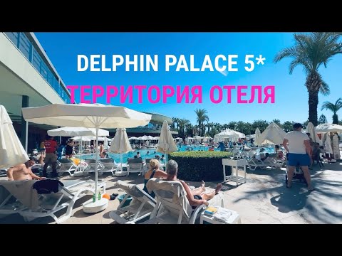 Видео: #12 DELPHIN PALACE 5*. ТЕРРИТОРИЯ. ДОРОГА К МОРЮ. С НАМИ НЕ  СОСКУЧИШЬСЯ 