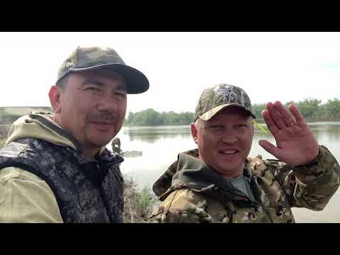 Видео: Рыбалка 2025на Урале,рыбец-сырть на фидер #казахстан #рыбалканаозере #уральскзко #урал #фидер