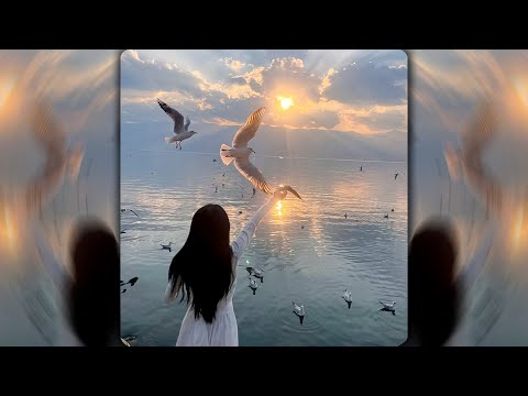 Видео: [SOLD] WHITE GALLOWS Type Beat - "Потерянный Рай" | КРИСПИ x MACAN Type Beat 2024