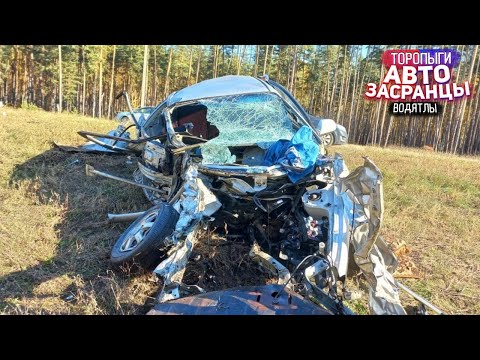 Видео: Самые Тупые Торопыги и Водятлы на Осенней Дороге! ДТП