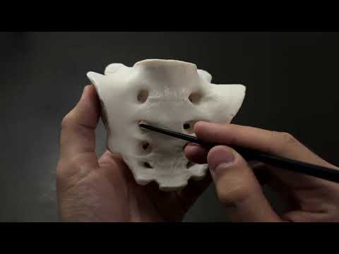 Видео: Сегізкөз