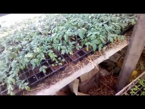 Видео: Добро пожаловать на канал, где всё по-настоящему.Здесь нет рекламы, показухи и пустых обещаний.