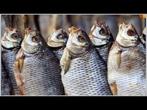 Видео: Как засушить  карася, чтоб получилось вкусная таранка?