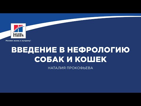 Видео: Вебинар №1 школы НЕФРОУРОВЕТ: "Введение в нефрологию собак и кошек". Лектор - Наталия Прокофьева.